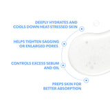 Post Alpha Cooling Skin Booster Serum