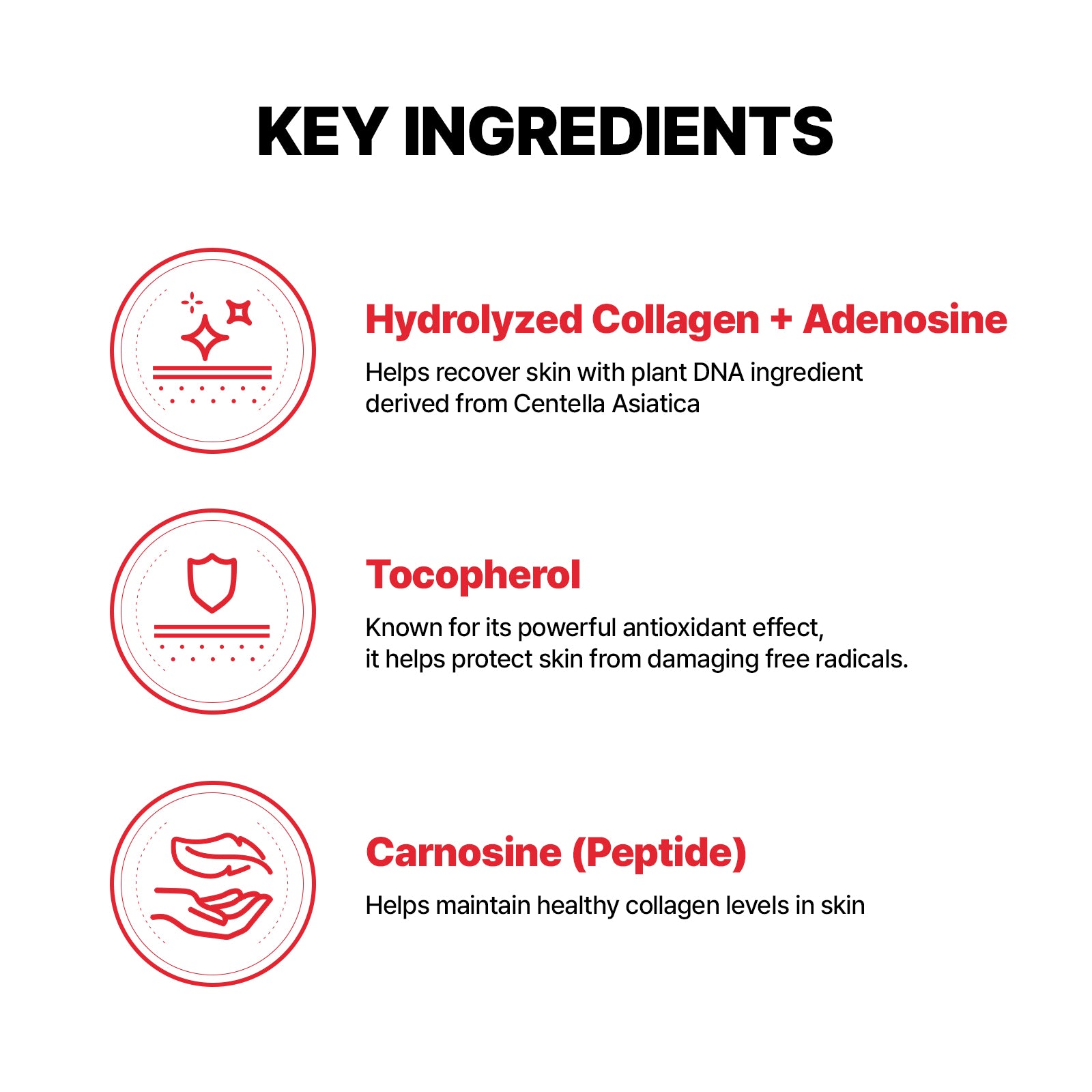 The UV Protection & Cleansing Duo